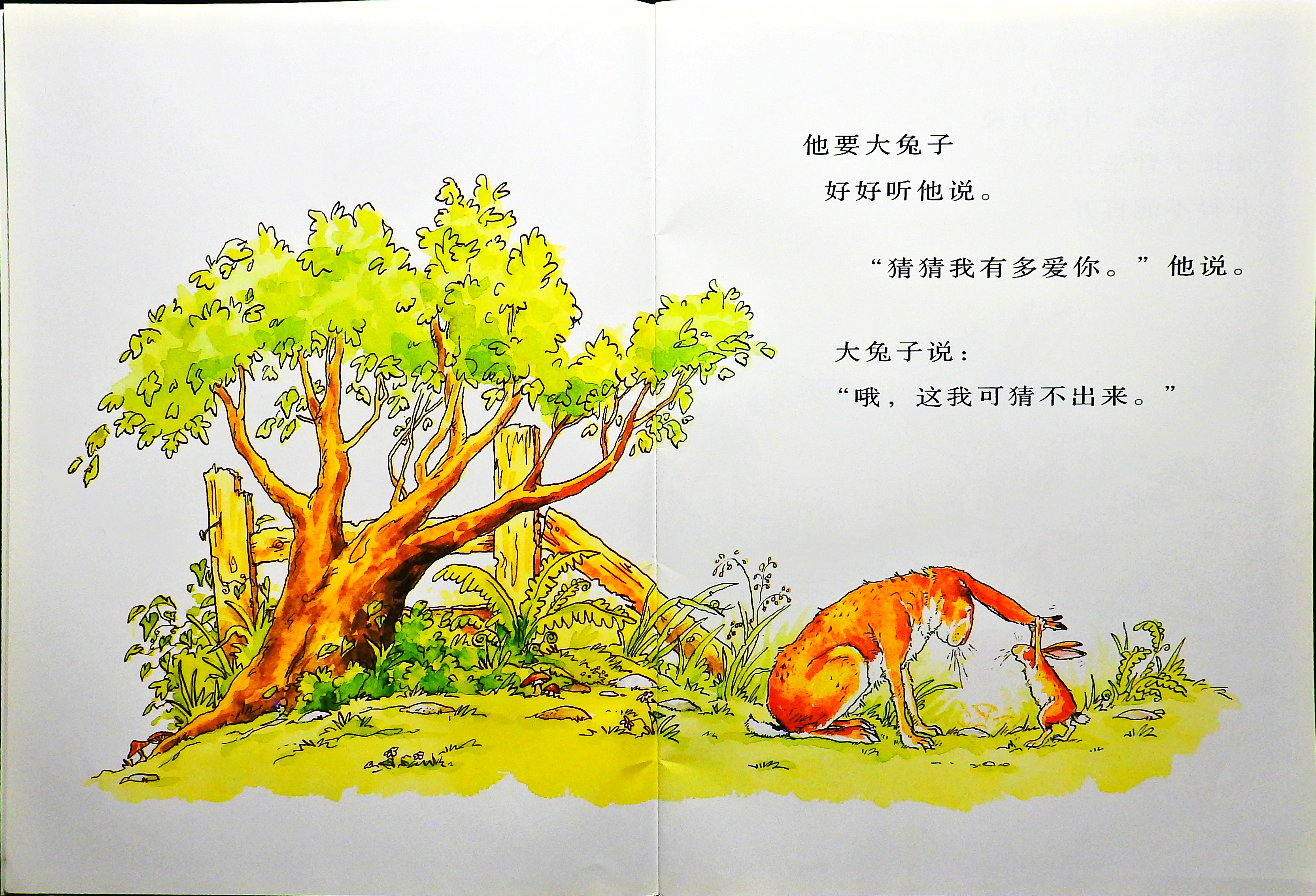 猜猜我有多爱你 (05),绘本,绘本故事,绘本阅读,故事书,童书,图画书,课外阅读